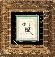 cadre-ancien-or-HEINRICH SARWERDEN_der Junge, Graf z. Sarwerden. Souveraine,._Deutschland (1)