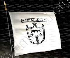 drapeau-SPINELLI_Padova_Italia