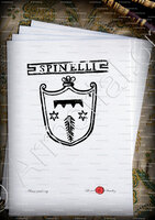 velin-d-Arches-SPINELLI_Padova_Italia