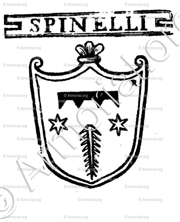 SPINELLI_Padova_Italia