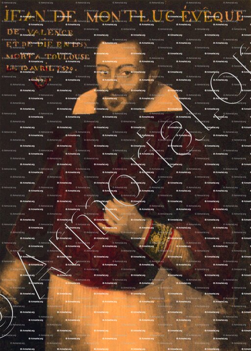 JEAN DE MONTLUC_Evêque de Valence et Die en 1554-79_France (HD)