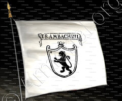 drapeau-STAMBACHINI_Padova_Italia