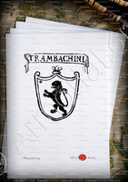 velin-d-Arches-STAMBACHINI_Padova_Italia