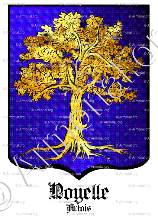 NOYELLE_Artois_France (i)