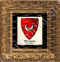 cadre-ancien-or-MARIGNIER_Armorial et Nobiliaire de l'Ancien Duché de Savoie (Cte de Foras, 1863)_États de Savoie