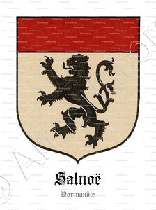 SALNOË