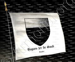 drapeau-HUGUES 1er de GAND_Flandre_