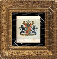 cadre-ancien-or-De VAYNES Van BRAKELL_Wapenboek van den Nederlandschen Adel. (J.B. Rietstap) (1)