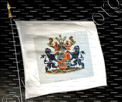 drapeau-De VAYNES Van BRAKELL_Wapenboek van den Nederlandschen Adel. (J.B. Rietstap) (1)