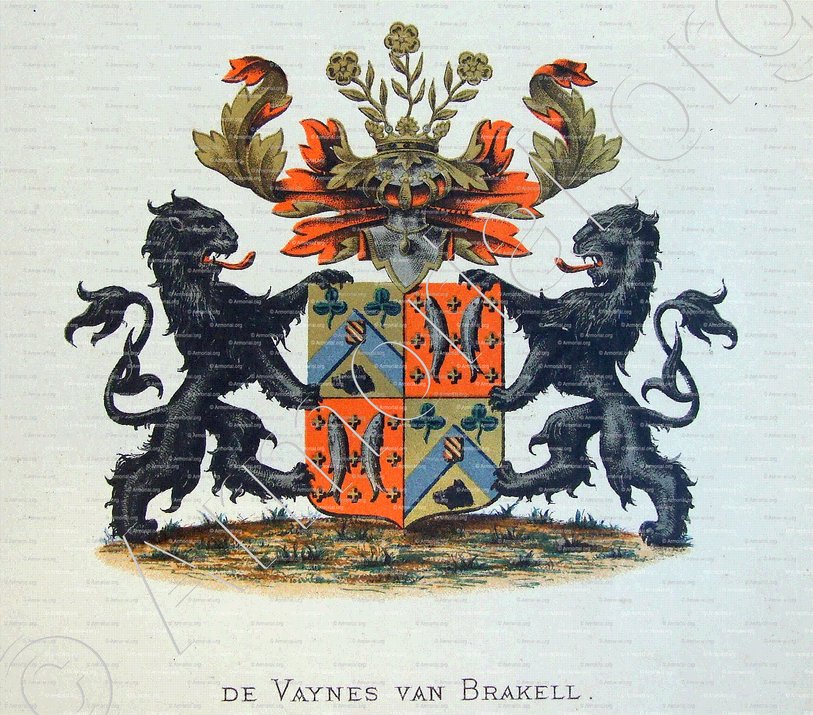 De VAYNES Van BRAKELL_Wapenboek van den Nederlandschen Adel. (J.B. Rietstap) (1)