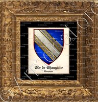 cadre-ancien-or-ODE de CHAMPLITTE_Champagne_France (1)