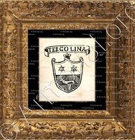 cadre-ancien-or-TERGOLINA_Padova_Italia