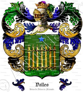 VALLEO