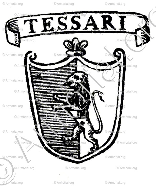 TESSARI_Padova_Italia