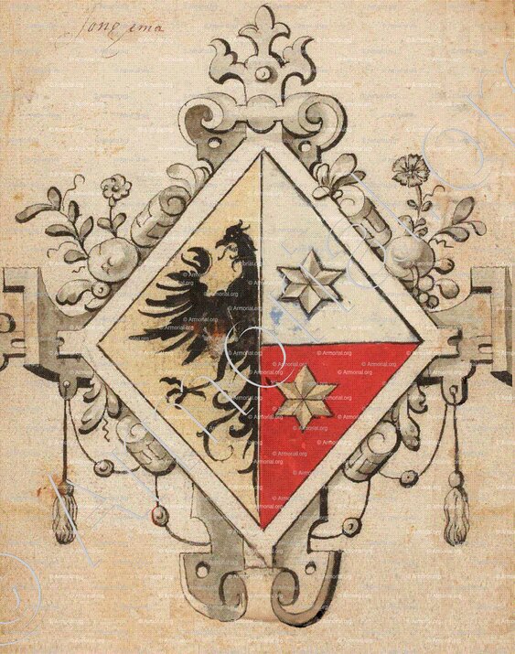 VAN JONGEMA alias JONGEMA_Friesland_Nederland (2)