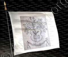 drapeau-OHLMANN_Haguenau_Alsace