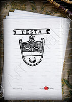 velin-d-Arches-TESTA_Padova_Italia