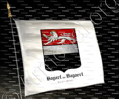 drapeau-BAYART ou BAYAERT_Flandre française, Artois._France ()