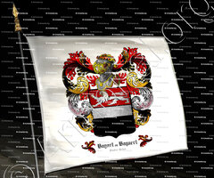 drapeau-BAYART ou BAYAERT_Flandre française, Artois._France (1)