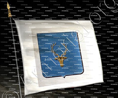 drapeau-ANSQUER_Armorial de Bretagne ... par A. P. Guerin de La Grasserie, 1845-1848._France ()