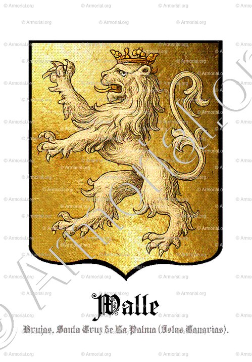 WALLE_Brujas, Santa Cruz de La Palma_España (2)