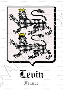 LEVIN