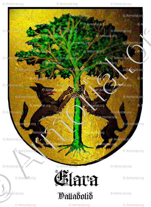 CLARA_Valladolid_España (iii)