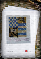 velin-d-Arches-GALLI_Armorial Nice. (J. Casal, 1903) (Bibl. mun. de Nice) - France (1808 1814) ,(i)