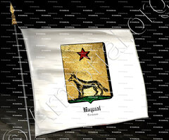 drapeau-RAYNAL_Toulouse_France (2)