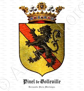 PINEL DE GOLLEVILLE