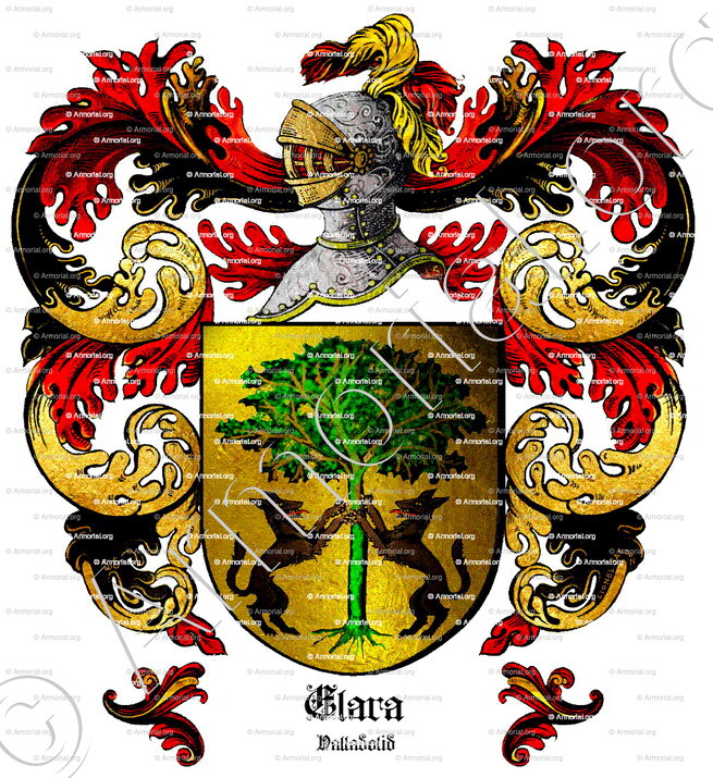 CLARA_Valladolid_España (iv)