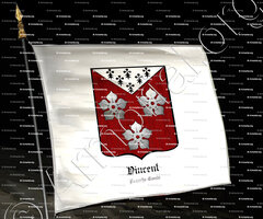 drapeau-VINCENT_Franche-Comté_France (2)