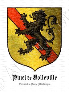 PINEL DE GOLLEVILLE
