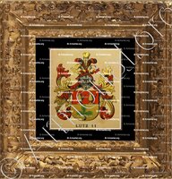 cadre-ancien-or-LUTZ - Wappenbuch der Stadt Basel . B.Meyer Knaus 1880 - Schweiz. Suisse. Svizzera. (II)