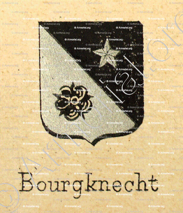 BOURGKENCHT_Livre d'Or du Canton de Fribourg (Freiburg). (Alfred Raemy, 1898)_Schweiz Suisse Svizzera Switz
