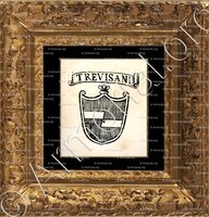 cadre-ancien-or-TREVISANI_Padova_Italia