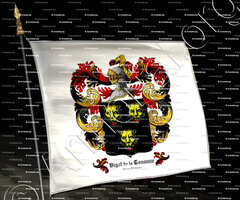 drapeau-BIGOT de la TOUANNE_Berry, Orléanais._France (1)