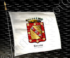 drapeau-LORRAINE Comte d'ARMAGNAC_Maison de Lorraine._France (1)