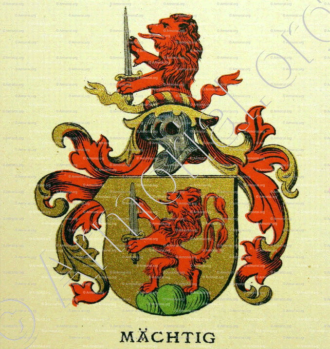 MÄCHTIG_Wappenbuch der Stadt Basel . B.Meyer Knaus 1880_Schweiz 