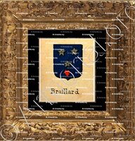 cadre-ancien-or-BRAILLARD_Livre d'Or du Canton de Fribourg (Freiburg). (Alfred Raemy, 1898)_Schweiz Suisse Svizzera Switz