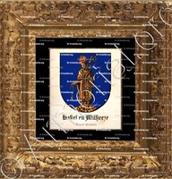 cadre-ancien-or-BAKEL en MILHEEZE_Noord-Brabant_Nederland