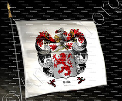 drapeau-FOLLA_La Coruña_España (2)