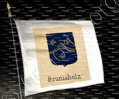 drapeau-BRUNISHOLZ_Livre d'Or du Canton de Fribourg (Freiburg). (Alfred Raemy, 1898)_Schweiz Suisse Svizzera Switz