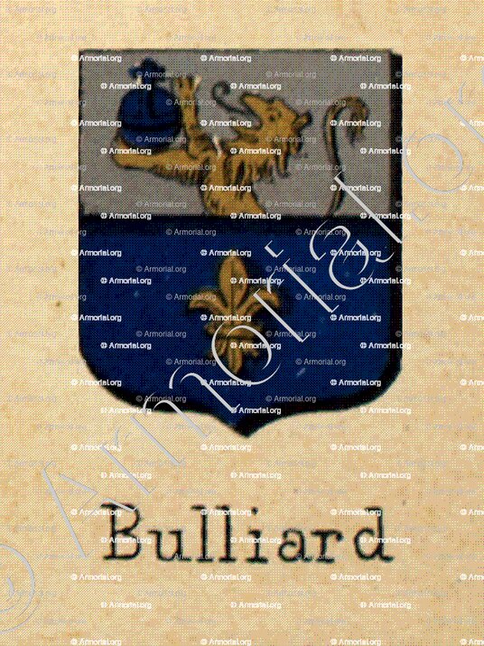 BULLIARD_Livre d'Or du Canton de Fribourg (Freiburg)_Suiss, Schweiz (2)+
