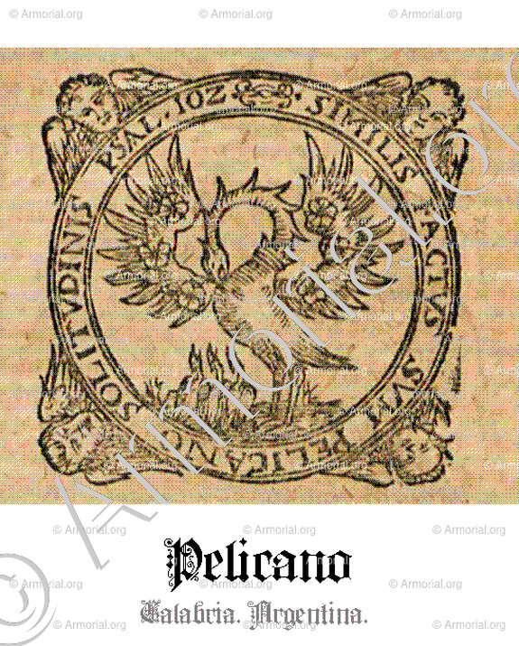PELICANO_Calabria. Argentina._Italia, Argentina