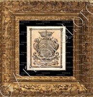 cadre-ancien-or-de VILLOUTREYS de BRIGNAC_Anjou, Maine._France