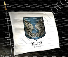 drapeau-ALLARD_La Rochelle_France