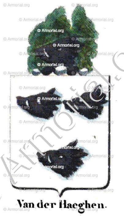 VAN DER HAEGEN_Armorial royal des Pays-Bas_Europe