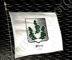 drapeau-MIRET_Cataluña_España (2)