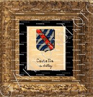 cadre-ancien-or-CASTELLA de DELLEY_Livre d'Or du Canton de Fribourg (Freiburg). (Alfred Raemy, 1898)_Schweiz Suisse Svizzera Switz